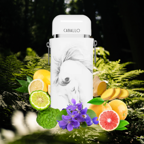 Caballo Pour Homme Armaf